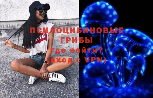 ешки Надым